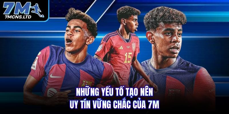 Những yếu tố tạo nên uy tín vững chắc của 7M